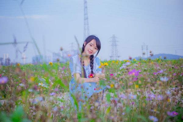 图片[5]-向日葵少女-六色网