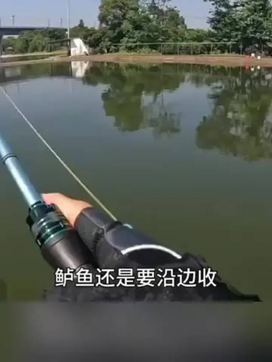 新手入门佳钓尼路亚竿套装 远投出色 年货必备