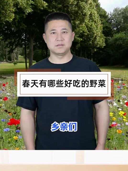 春天有哪些好吃的野菜 _幸福乡村春耕季 _三农第一线 _春季野菜 _农家野菜