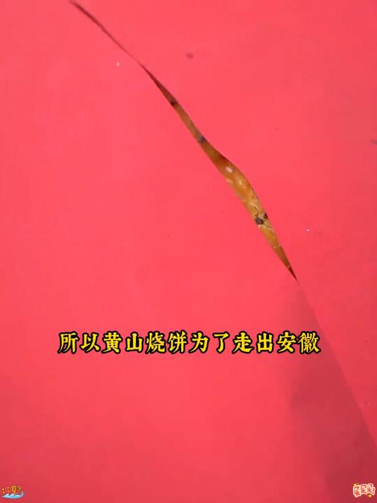 手工现烤黄山烧饼,酥香扑鼻,梅菜肉香,解馋超满足