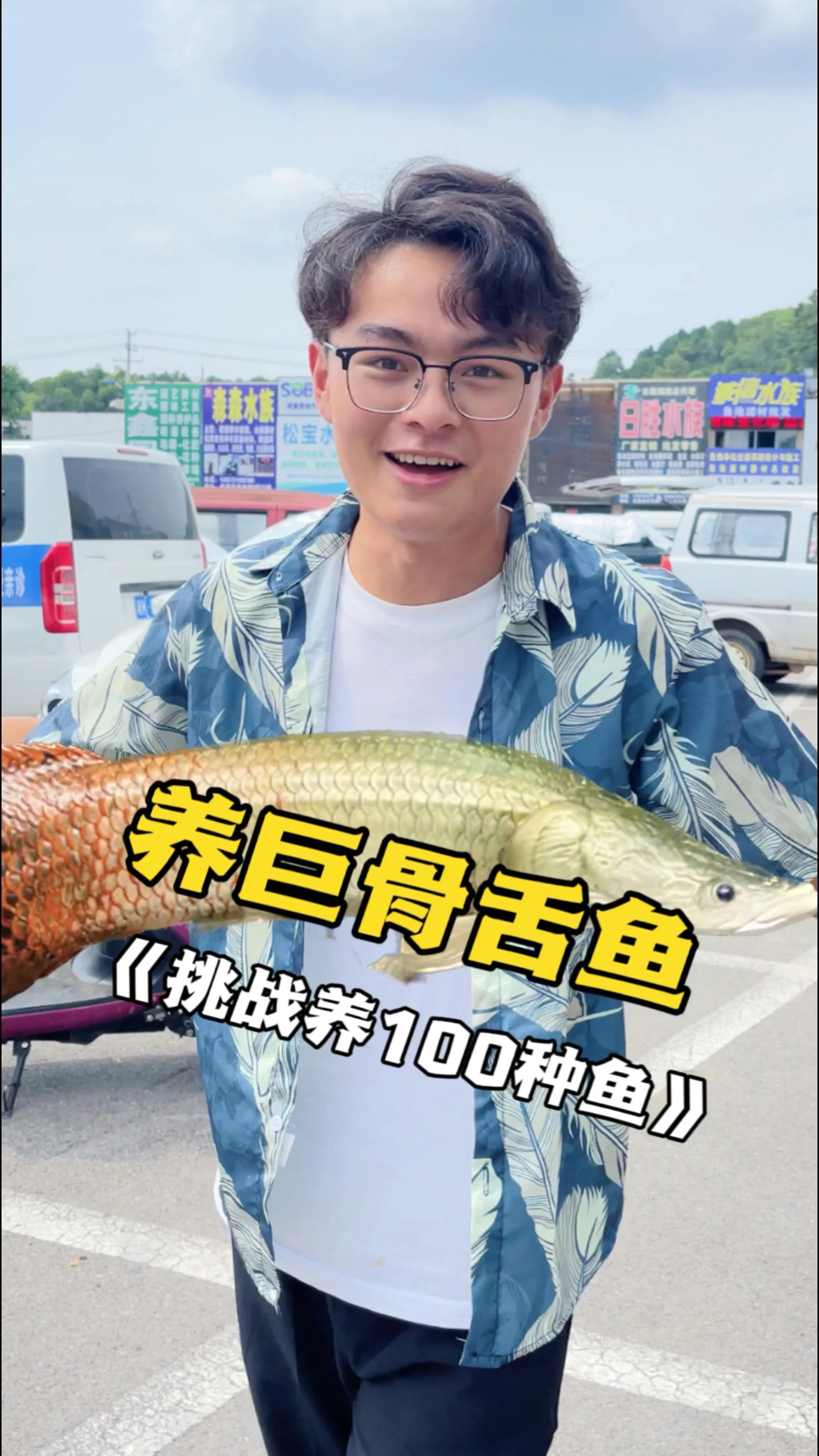 为了养巨骨舌鱼,跑遍了整个水族市场