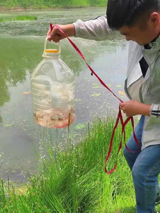 下网逮不到鱼，那就自己做个捕鱼神器