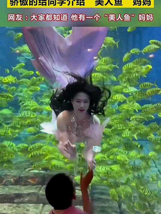 小朋友去妈妈工作的地方春游，骄傲的给同学介绍美人鱼妈妈