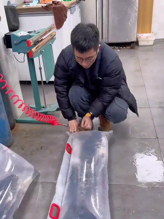 原来网上买的活鱼都是这样包装的