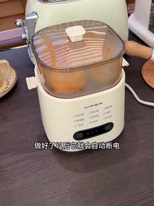 多功能蒸蛋煮蛋器全自动预约早餐机家用迷你蒸蛋器自动断电