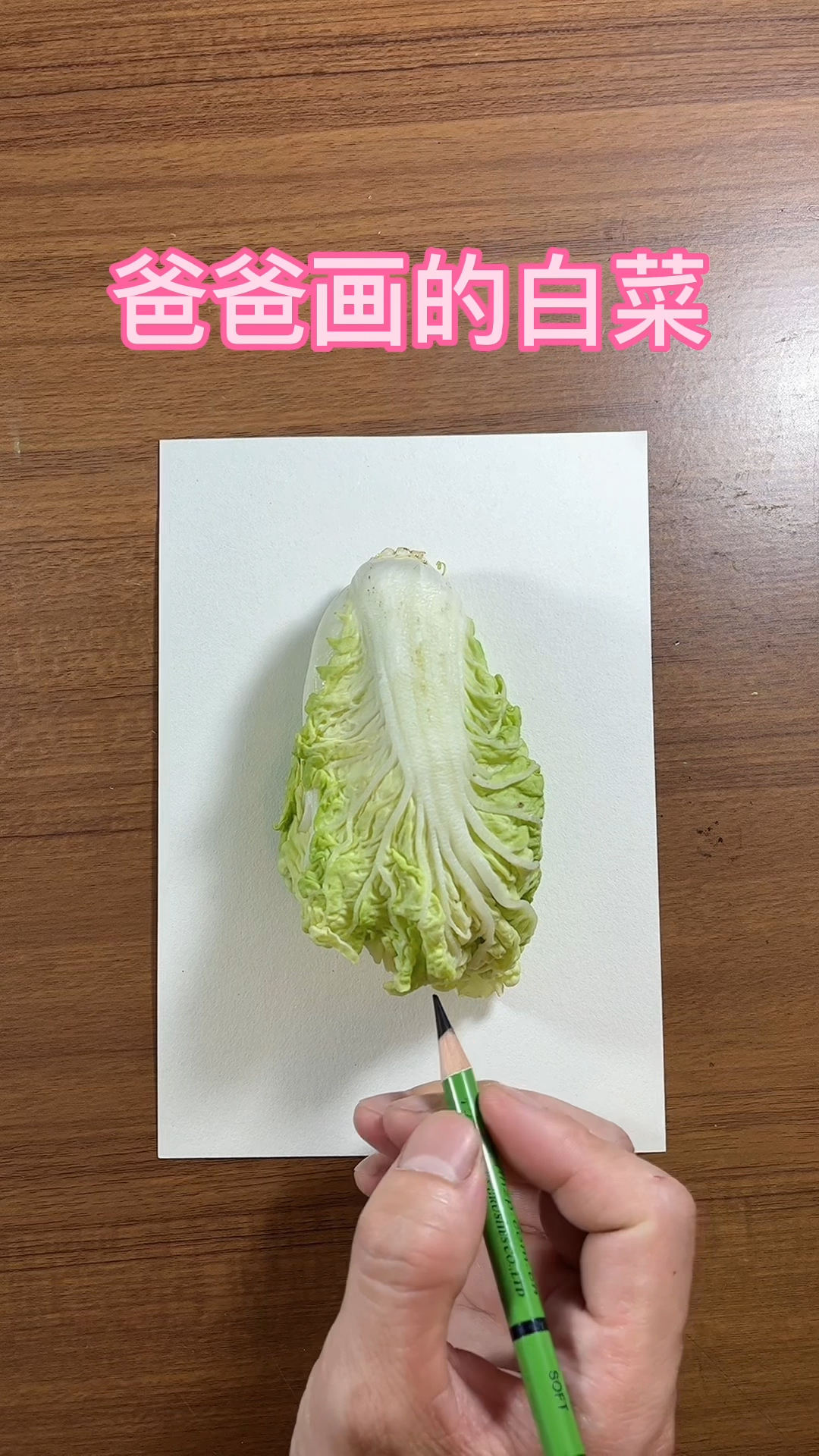 爸爸画的白菜