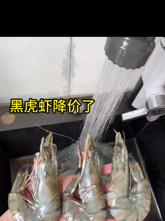 撒黑胡椒烤！超大黑虎虾香到上头，够味