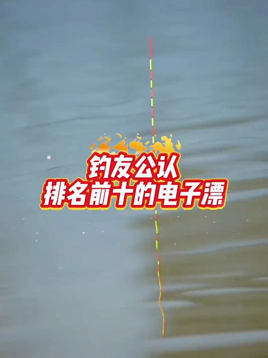 大圣夜光漂醒目款!OLED 咬钩变色,日夜两用硬尾电子漂