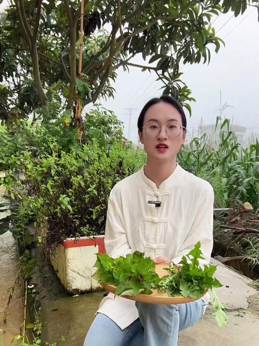 日本人夏季养生,鱼腥草茶缓解暑热不适