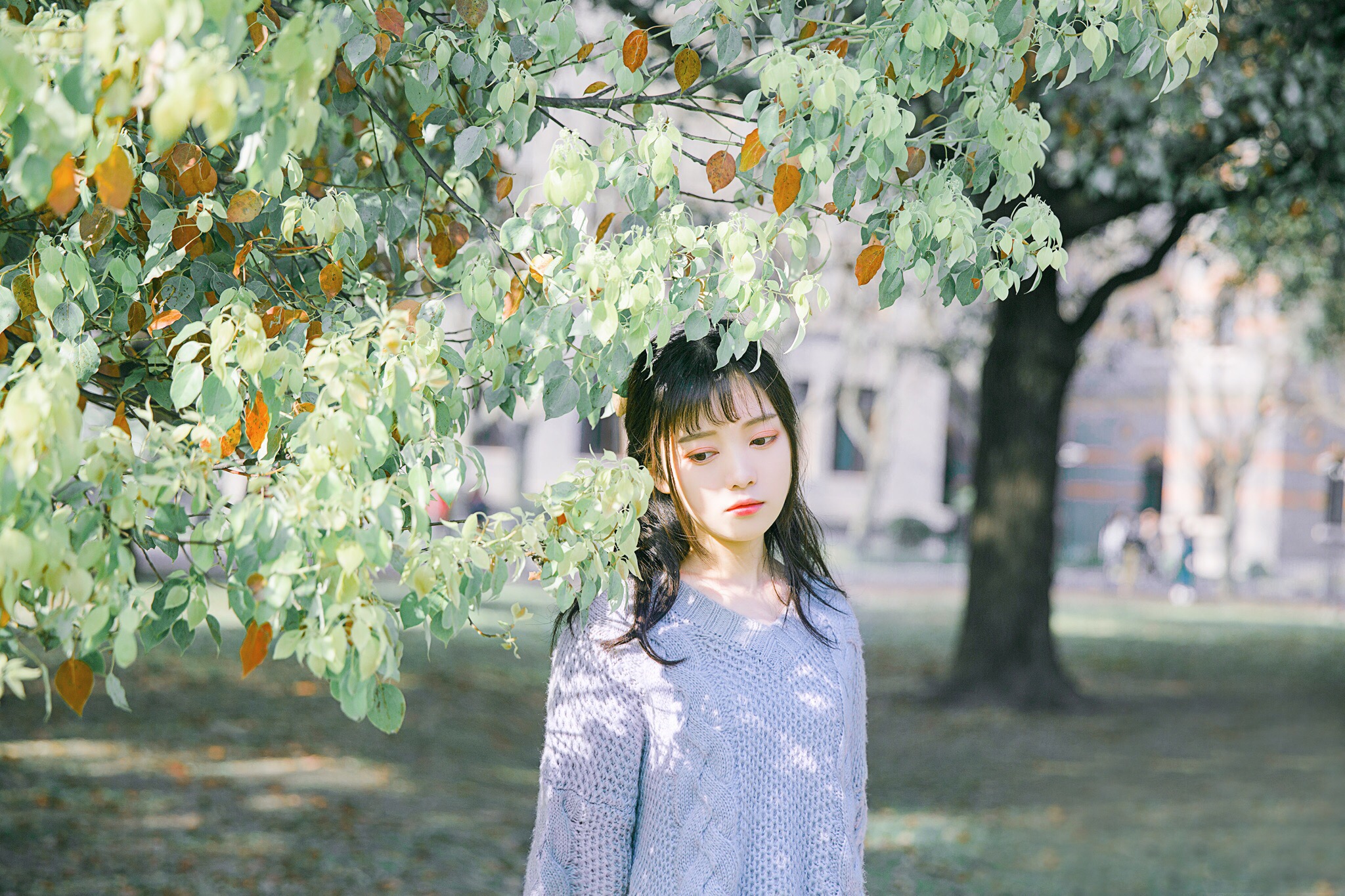 图片[21]-青柠女孩-六色网