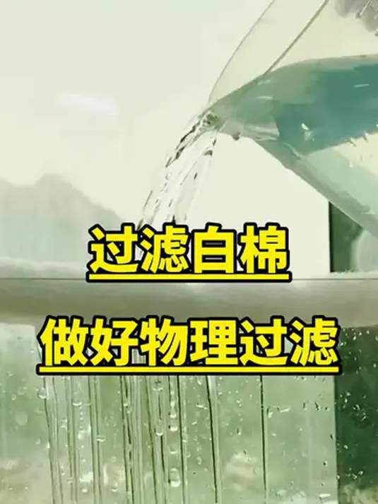 鱼缸过滤有诀窍?过滤棉选对很重要!高密度白海绵来助力