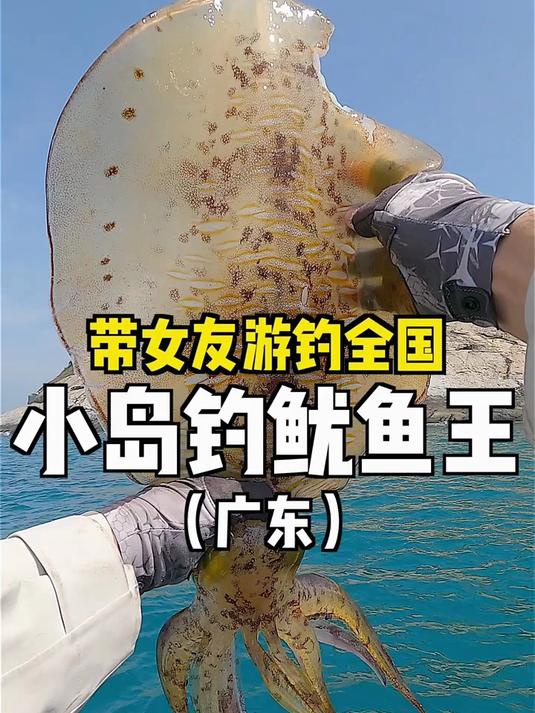 热心钓友发现香港一无人小岛惊现鱿鱼王