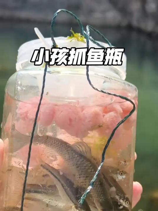 儿童户外捕鱼瓶倒须抓鱼瓶鱼笼虾笼亲子捕鱼器捕鱼工具
