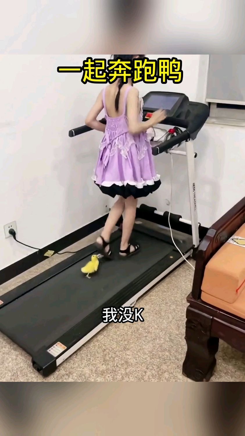 一起奔跑的鸭子,速度还真跟得上