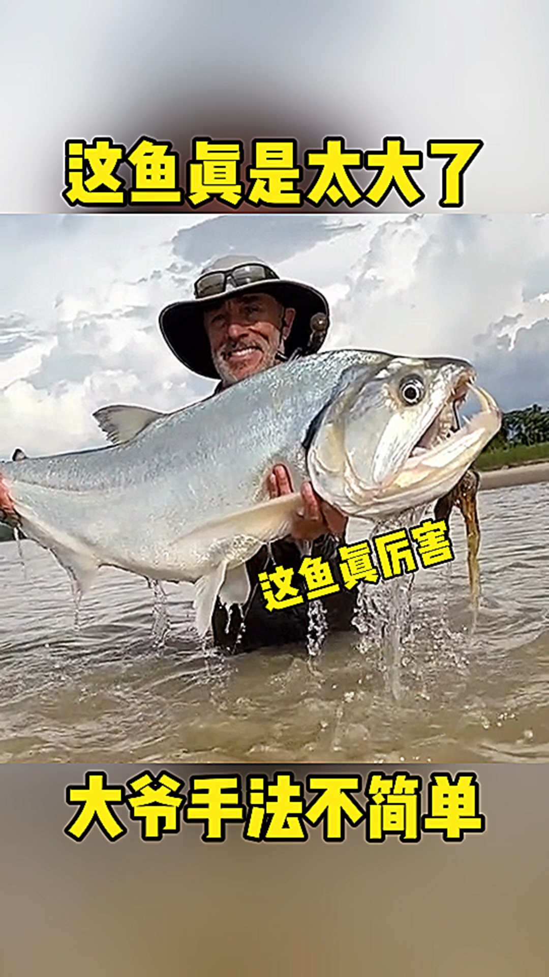 这鱼真是太大了 得有三百斤