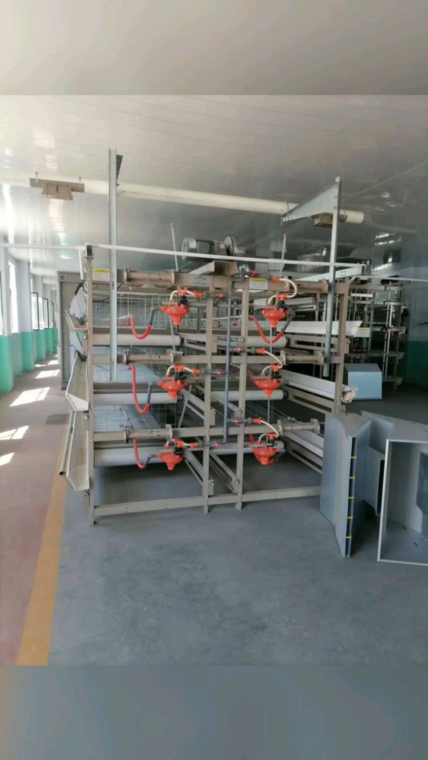 蛋鸡饲养标准,如何养好蛋鸡? 如今在我国倡导饲养规范化、生态性,养鸡场