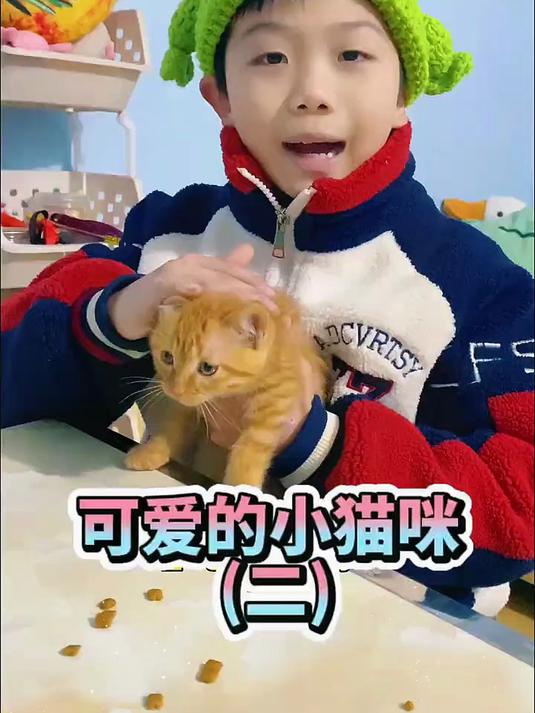 萌宠小可爱 萌萌小猫咪