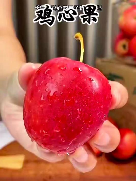 一年就这一季,来自东北特有的海棠果也叫鸡心果