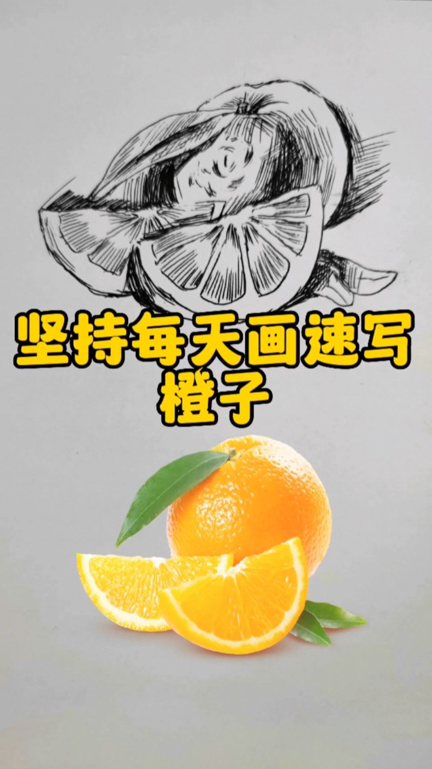 坚持每天画速写|第三天画橙子