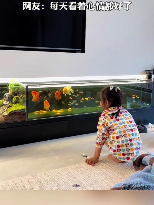电视柜改造成生态鱼缸,将生活过得有滋有味
