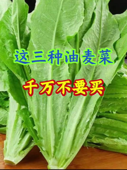 紧急避雷!买油麦菜的 3 大陷阱,菜贩绝不会告诉你的选菜真相