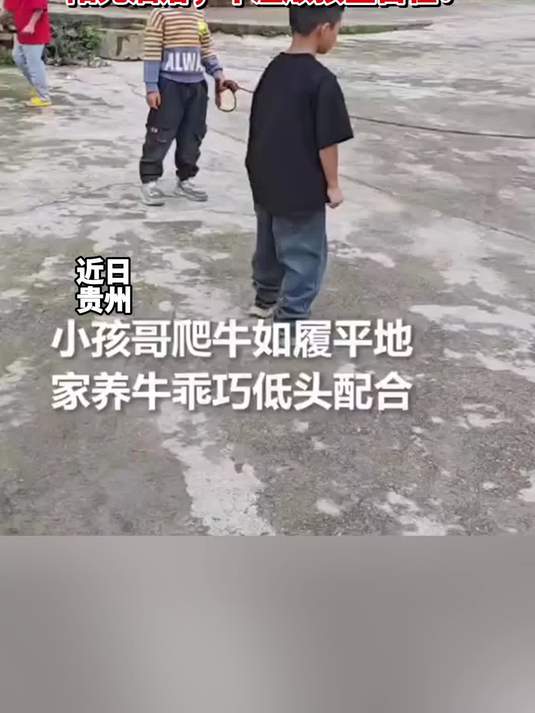 温馨一幕!现实版“牧童骑牛”,阳光洒落,牛温顺孩童自在!