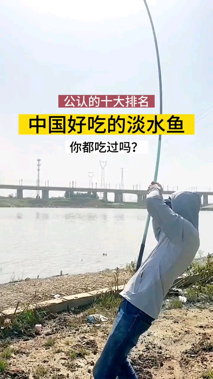 中国最好吃的十种淡水鱼