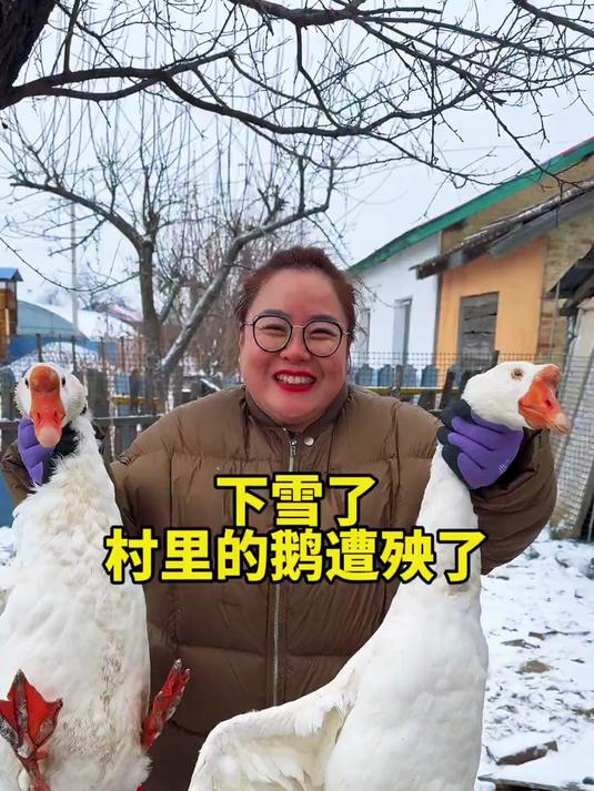东北猫冬一下雪，铁锅炖大鹅暖胃又扛饿