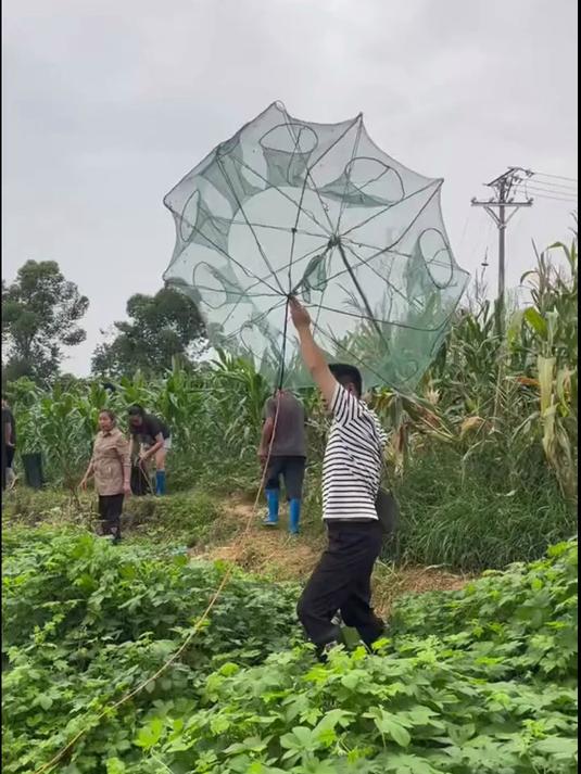 折叠鱼笼虾笼，不用鱼饵也能上鱼！