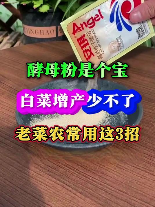 酵母粉是个宝白菜增产少不了老菜农常用这3招