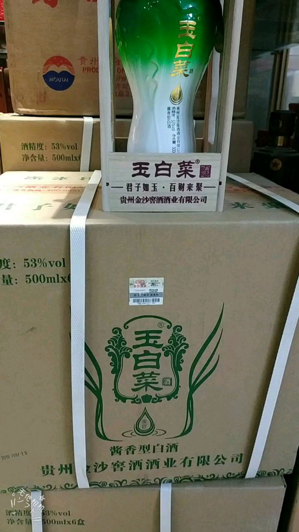 金沙玉白菜,招财纳财的寓意,包装有特色
