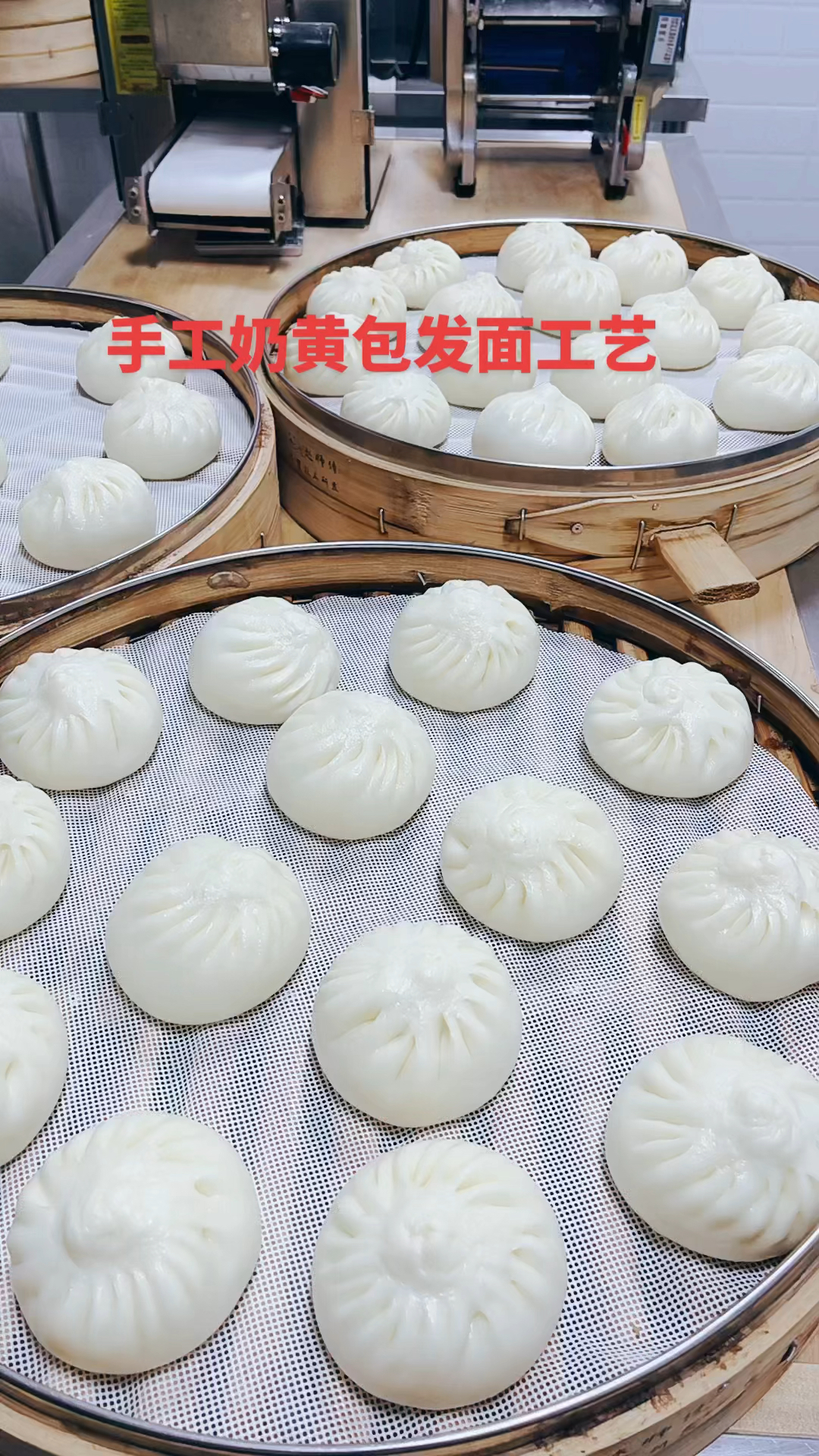 面粉500克,酵母4克,老面70克,馒头改良剂2克,白糖7克,水260克#奶黄包