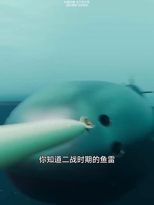 二战鱼雷如何制导