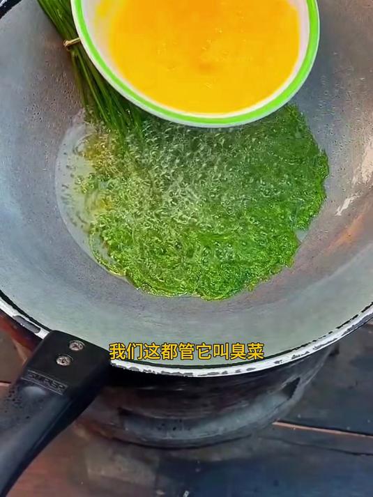 羽叶合欢树嫩芽,我们都叫臭菜,煎蛋是基本吃法