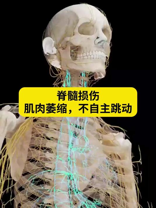 神经损伤:肌肉不自主跳动为什么