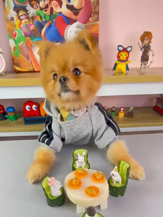 小兔兔们的下午茶