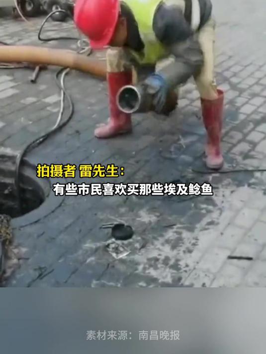 城市下水道严重堵塞,工人清淤时从管道里抽出多条活鲶鱼