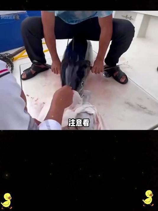尝过意式风味金枪鱼,普通罐头直接被比下去