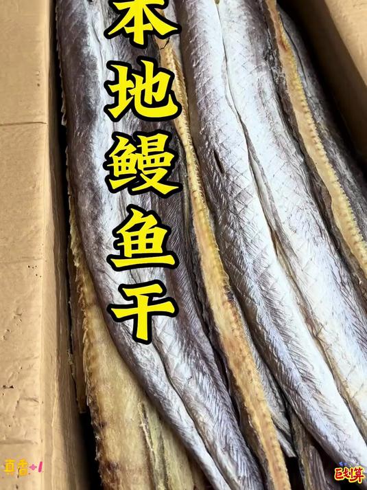 #鳗鱼干##鳗鱼干家常做法##美食分享##美食#哥哥姐姐们有吃过这么大一片的鳗鱼干吗#吃货