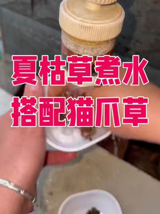 夏枯草搭配猫爪草泡水煮水煲汤#家常养生汤##喝出好气色##清热解毒茶##夏枯草猫爪草##中