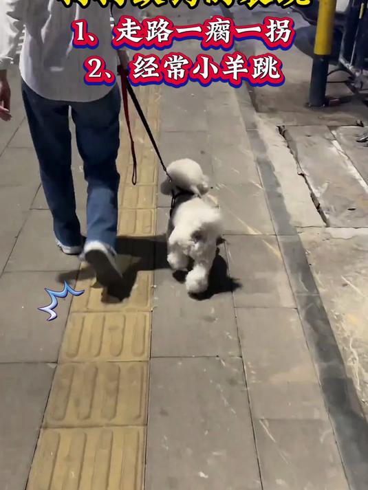 雷迪特猫咪鲨鱼软骨素宠物猫咪狗狗钙片健骨关节舒补钙