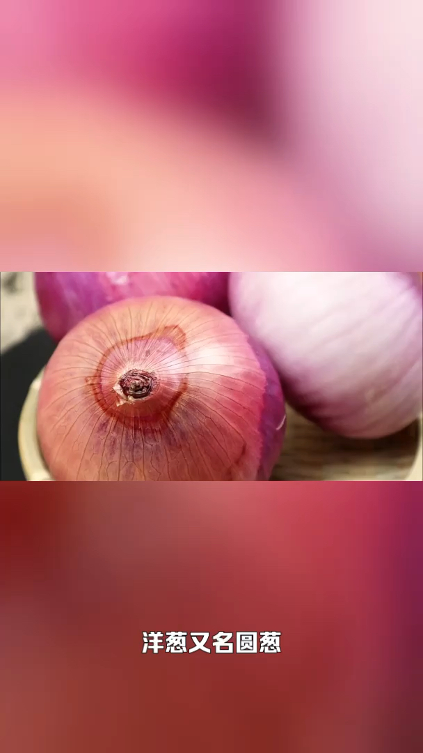 洋葱的营养价值