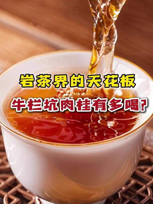 岩茶界的天花板,牛栏坑肉桂有多好喝?为啥一斤几万块都有人买?