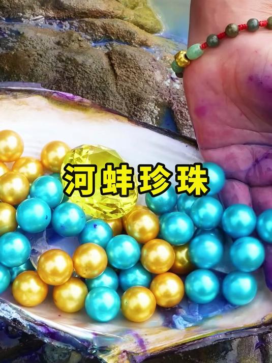 河蚌的蚌肉为什么会是紫色的,开出的珍珠也是不一般