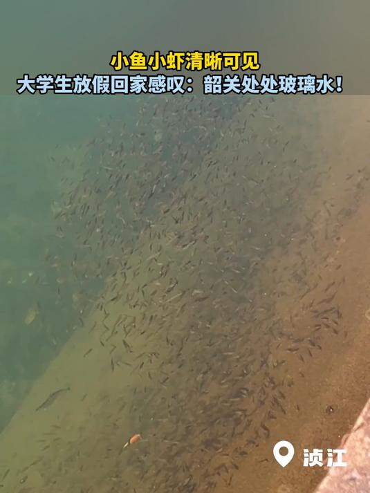 小鱼小虾清晰可见,大学生放假回家感叹:韶关处处玻璃水!