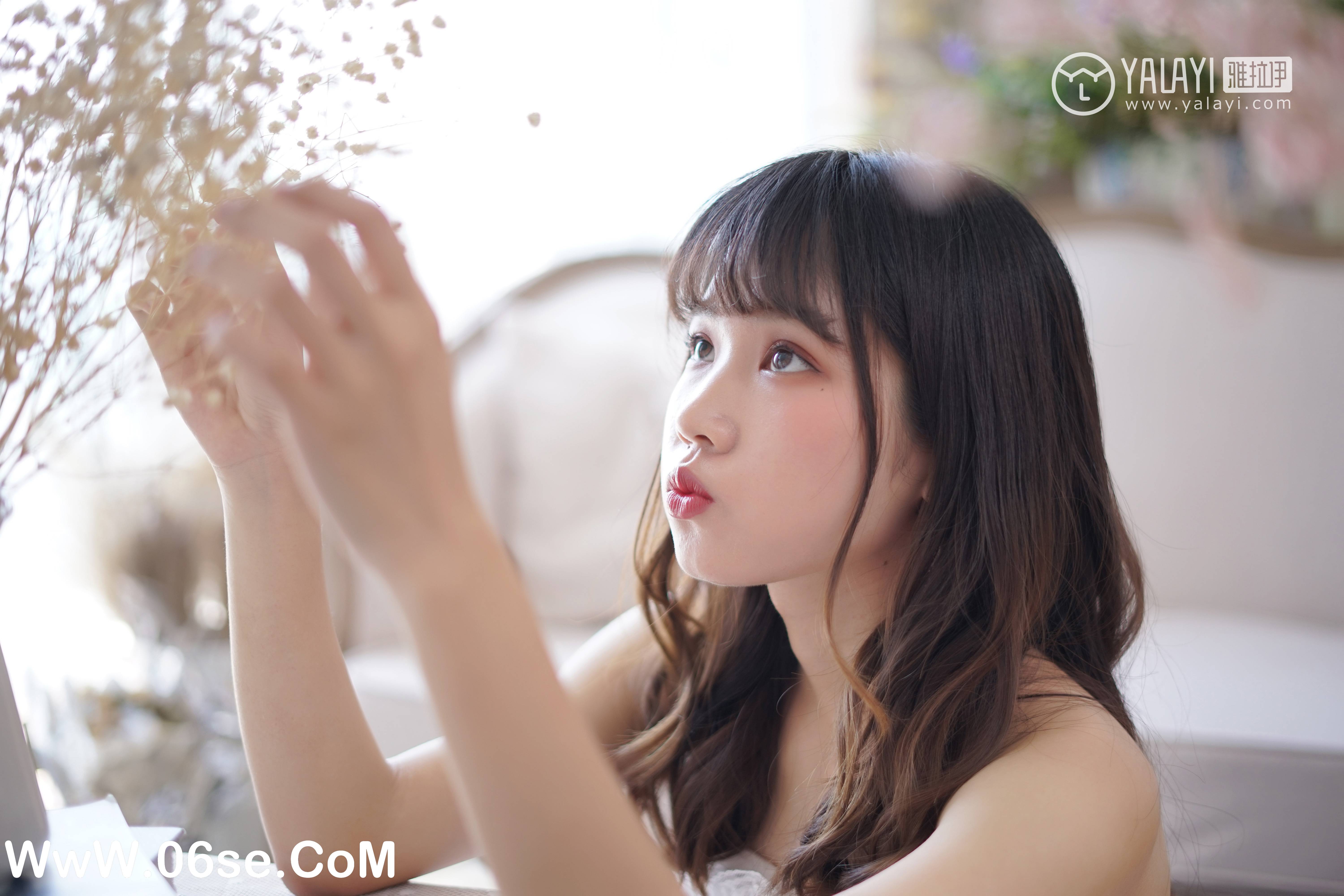图片[23]-[YALAYI雅拉伊] NO.003 小公主的薄纱裙 公主小兔子-六色网