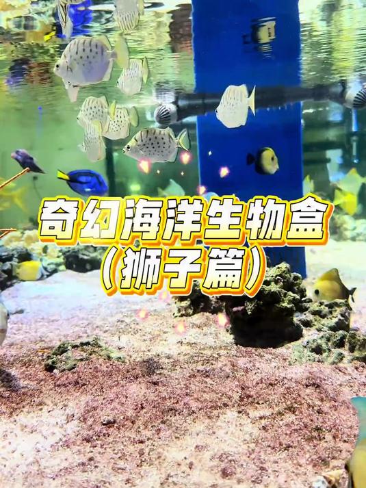 开到什么养什么！这回来了剧毒猛鱼！