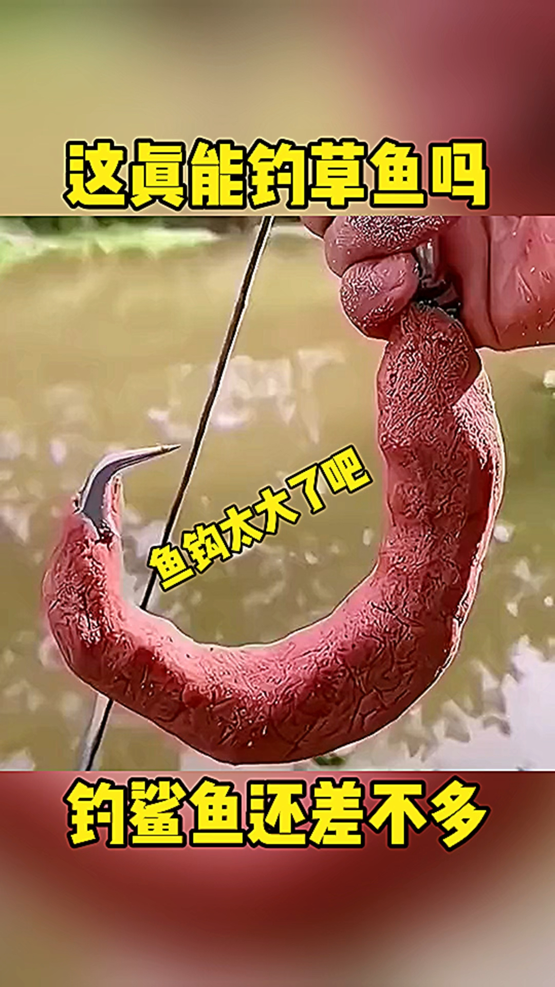 这个鱼钩是不是有点大