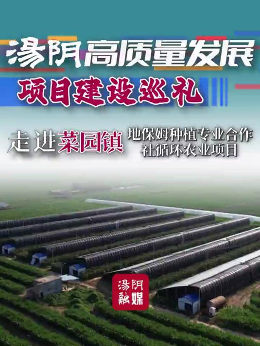 汤阴高质量发展项目巡礼——走进菜园镇地保姆种植专业合作社