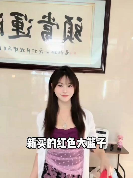 菜篮子手提包买菜专用闽南拜拜健身收纳包容量大轻便外出防水透气